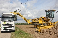 Rübenmaus mit Transport-LKW